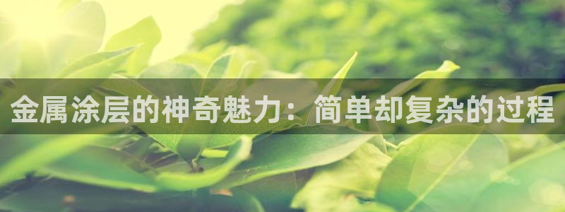 美狮美高梅酒店会员怎么办理