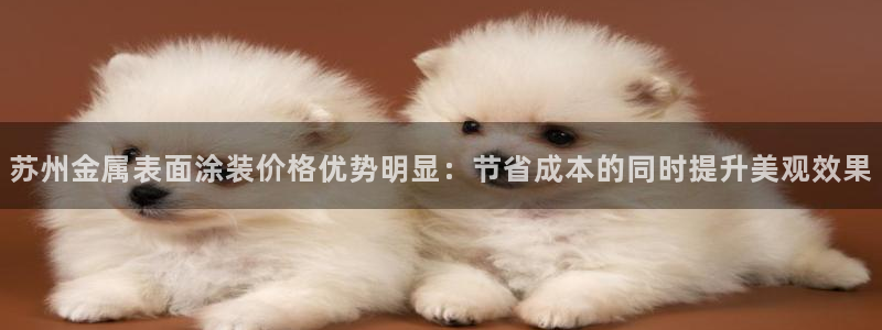 美高梅酒店属于哪个集团