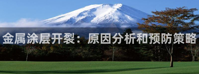 美高梅大酒店拉斯维加斯