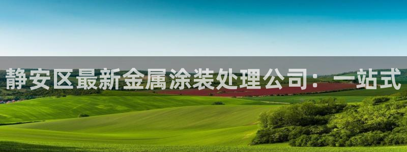 美狮美高梅酒店离哪个口岸近