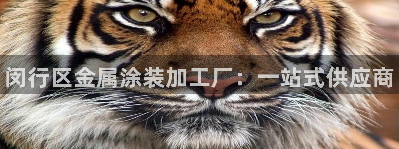 美高梅现在改名叫什么了