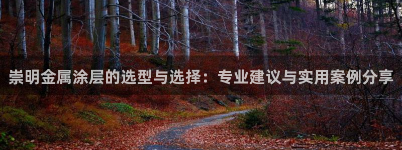 美高梅公司的业务范围