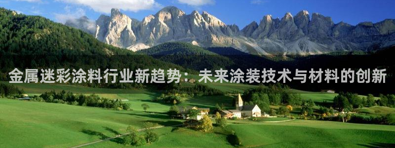 美高梅是做什么的澳门何超琼