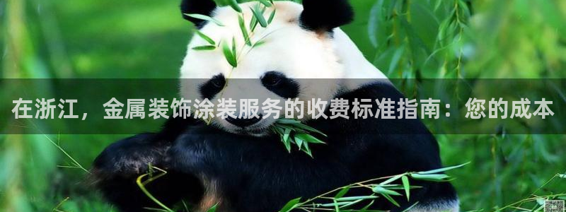 美高梅软件开发创始人：在浙江，金属装饰涂