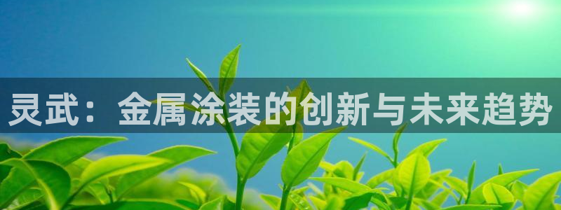美高梅酒店员工待遇：灵武：金属涂装的创新
