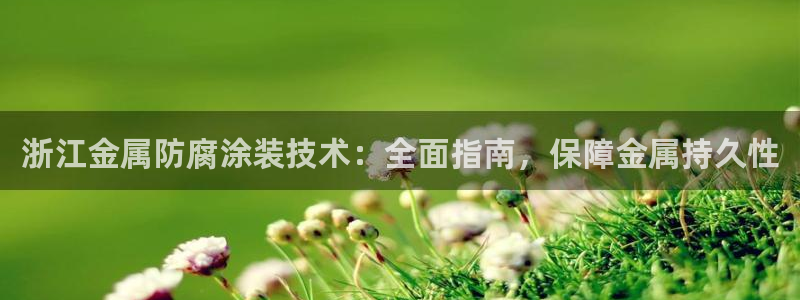 美高梅矿泉水多少钱一瓶：浙江金属防腐涂装